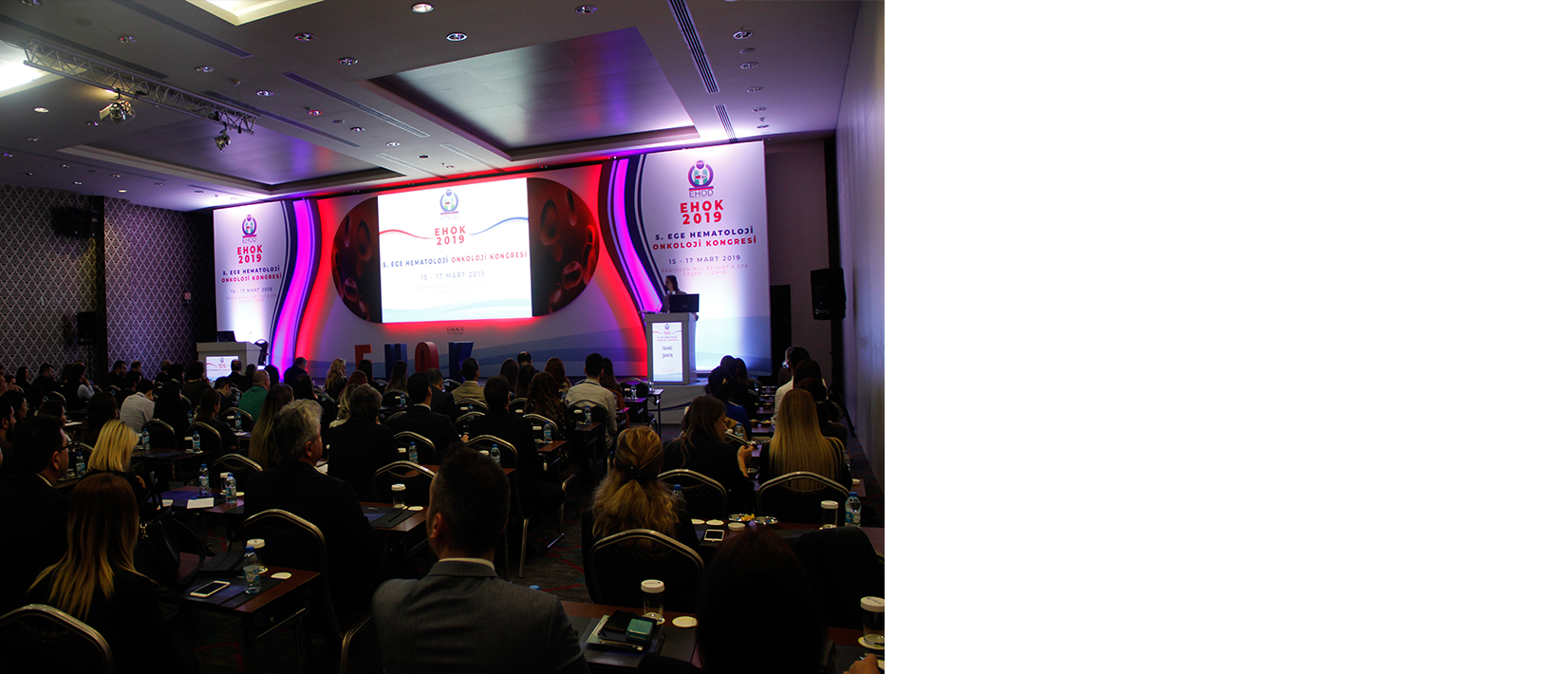 2019 kongre ve organizasyonları